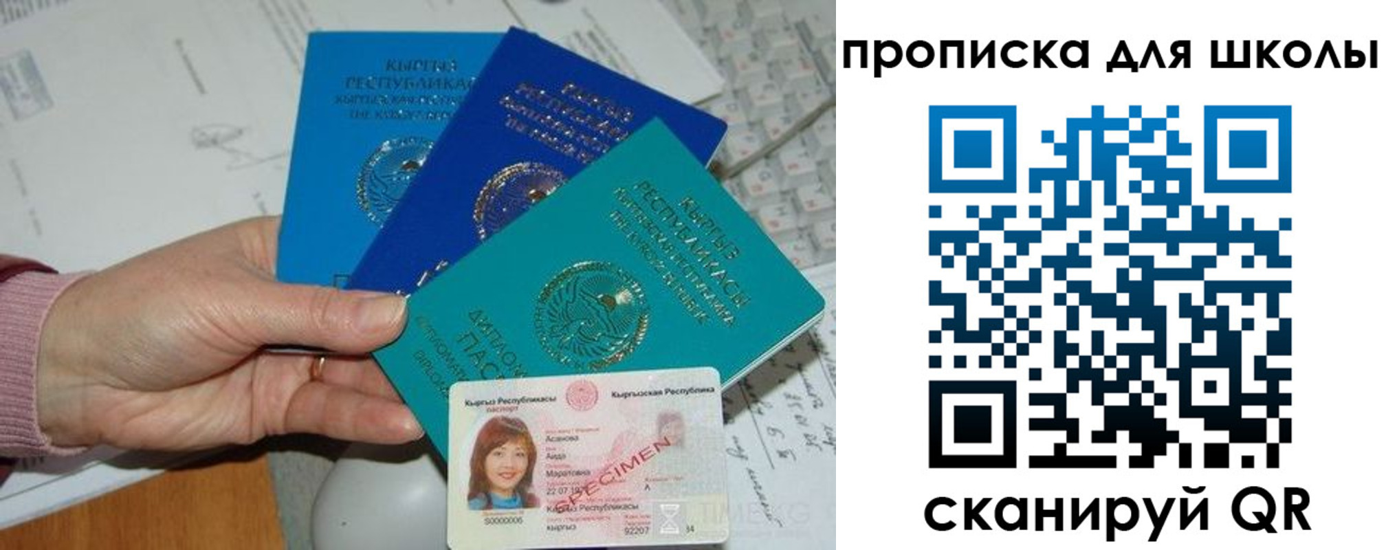 временная регистрация адрес в Мончегорске